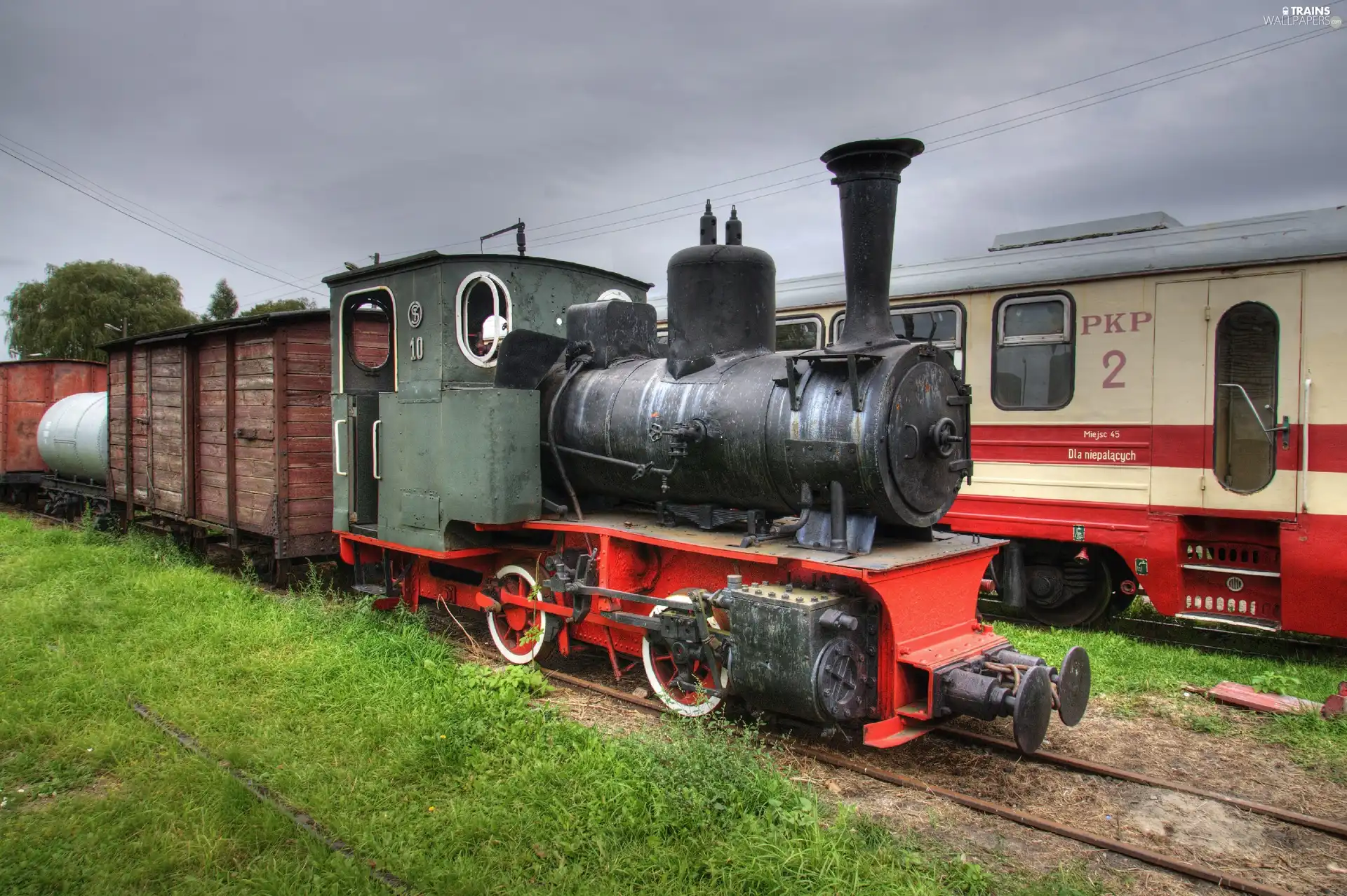 Narrow Gauge Steam Locomotive