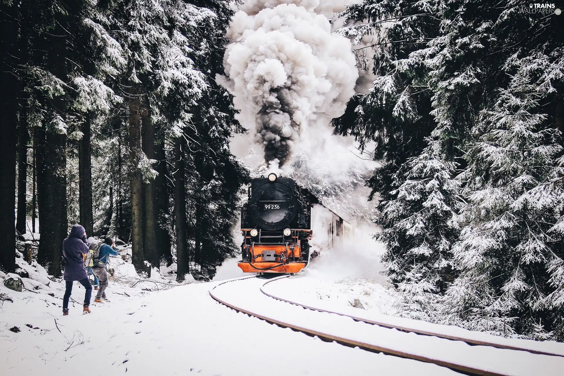 https://www.trains-wallpapers.com/trains/snow-train-winter-people-forest.jpg